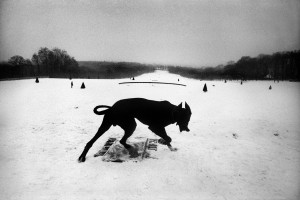 1987, Francia. Hauts-de-Seine, Parc de Sceaux: la foto scelta per la copertina di "Exiles" / 1987, France. Hauts-de-Seine, Parc de Sceaux: the photography chosen for the cover of "Exiles"  © Josef Koudelka Magnum Photos