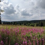 Il panorama dei Monti Metalliferi nei pressi di Boží Dar / Ore Mountains panorama in the surroundings of Boží Dar © Giuseppe Picheca